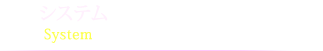 システム料金